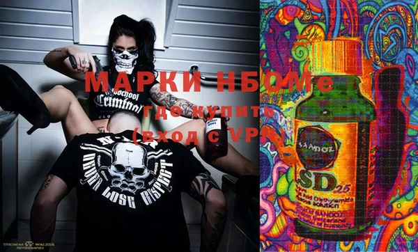 бошки Алексин
