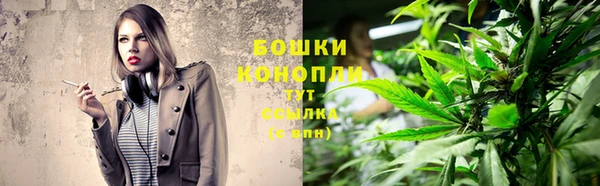 бошки Алексин