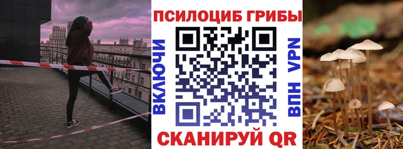 Псилоцибиновые грибы Psilocybe  omg ONION  Уяр 